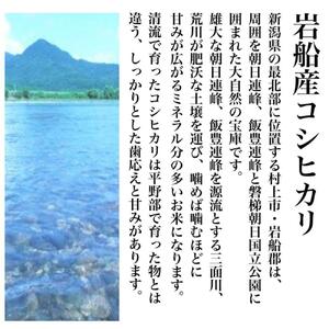 【令和5年度産】新潟県産コシヒカリ そんまんま真空パック 食べ比べセット 900g×5種