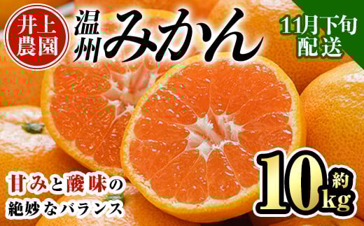 ＜先行予約受付中！11月下旬より順次発送予定＞数量限定 大分県宇佐市産 温州みかん(約10kg)みかん ミカン 蜜柑 柑橘 フルーツ 果物 くだもの 果実 国産【103620300】【井上農園】