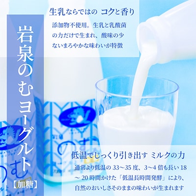 岩泉ヨーグルトのお酒　岩泉ヨーグルト×南部美人のお酒　スーパーフローズン　700ml×1本　【配送不可地域：離島】【1700079】