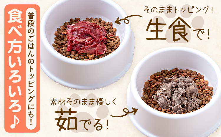 【3ヶ月定期便】ペット用馬肉 2kg × 3回 計6kg 五右衛門フーズ《申込月の翌月から出荷開始》 ペット用 犬用 肉 馬肉 熊本県 菊池市