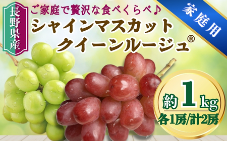 シャインマスカット＆クイーンルージュ® 家庭用 1kg(各1房/計2房)｜ ぶどう