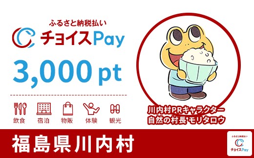 
            川内村チョイスPay 3,000pt【会員限定のお礼の品】
          