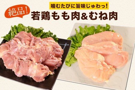 熊本県産 若鶏むね肉 約2kg/もも肉 約2kg 各1袋 たっぷり大満足！計4kg！《1月下旬-3月下旬頃出荷》 鶏肉 とりにく チキン 冷凍