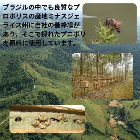 バイオフラボンプラス 60ml(12ml×5本)【1580335】