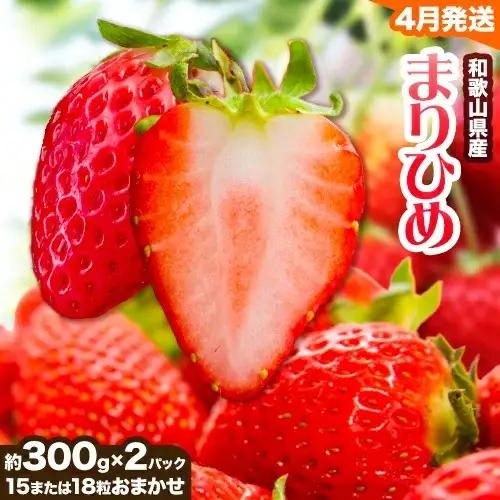 いちご まりひめ 約300g×2パック【配送不可地域あり】いちご