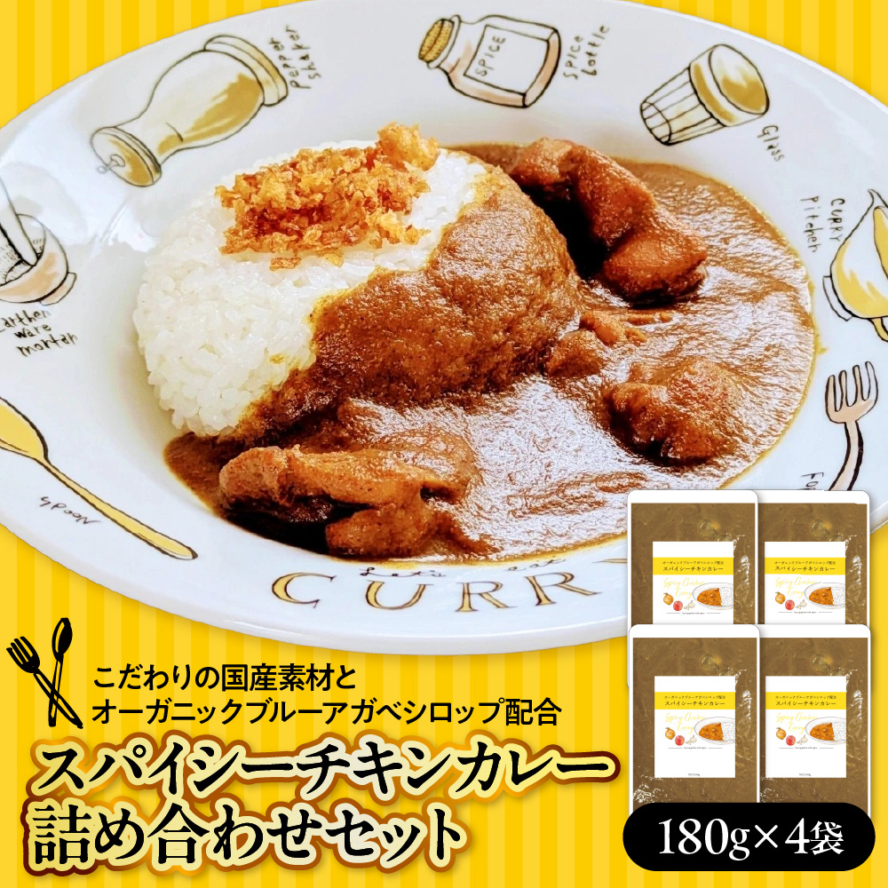 ブルーアガベ　スパイシーチキンカレー詰め合わせセット