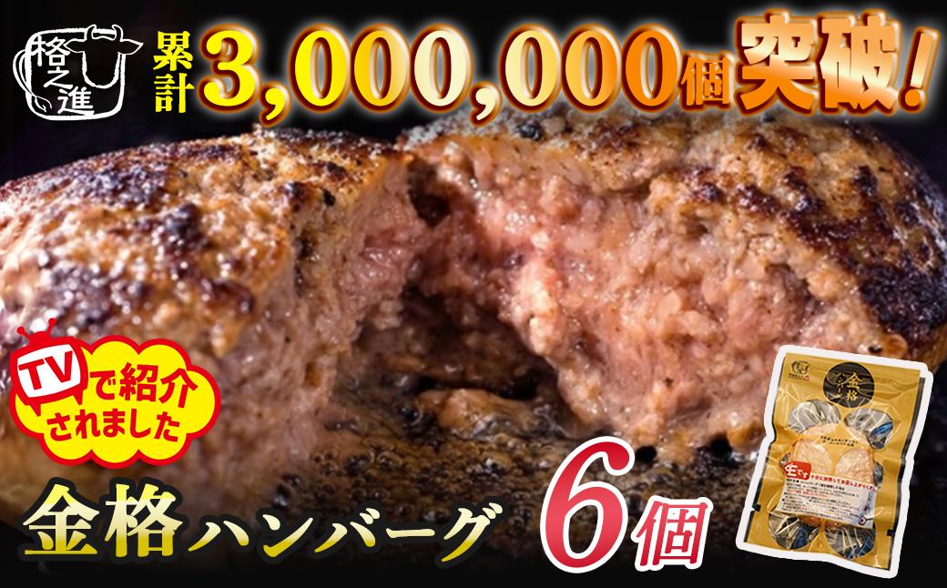 《格之進》金格 ハンバーグ 120g×6個 冷凍 人気 国産牛肉 白金豚 ～ お店の味をご家庭で 焼くだけ簡単～ 無添加 岩手 一関 贈り物 お取り寄せ