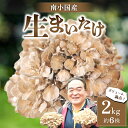 【ふるさと納税】 南小国産 生まいたけ 2kg 約6株 栄養満点 きのこ キノコ まいたけ マイタケ 舞茸 野菜 ギフト 贈答用 熊本 阿蘇 南小国町 送料無料