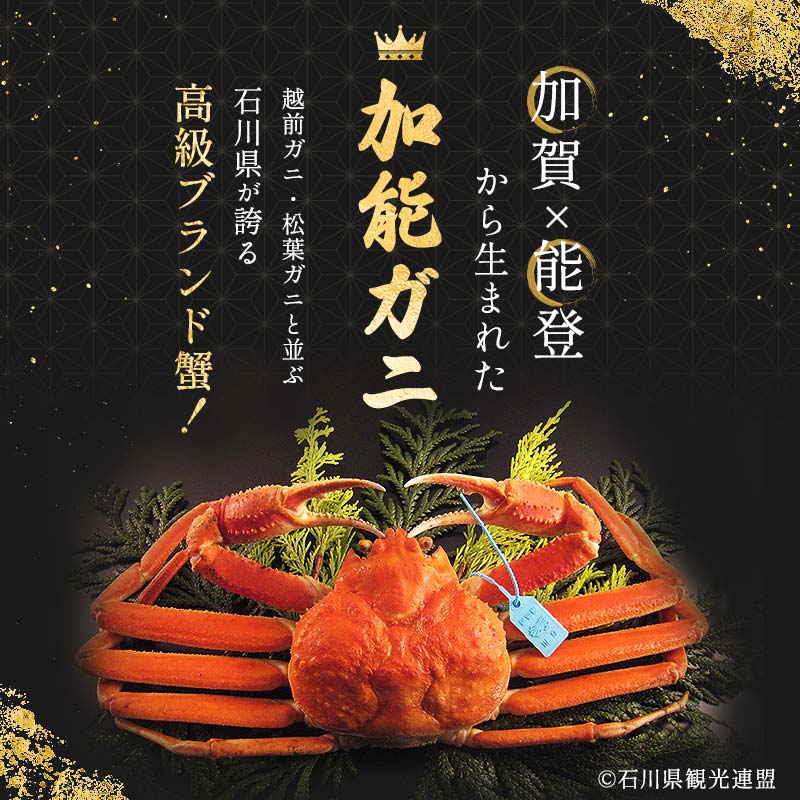 朝茹で加能ガニ姿2杯入り 蟹 かに ズワイガニ グルメ 海産物 贈り物 加賀 F6P-3186