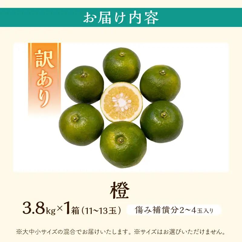 ≪訳あり≫ 橙 (だいだい) 計3.8kg以上 傷み補償分入り _ZZ35-26