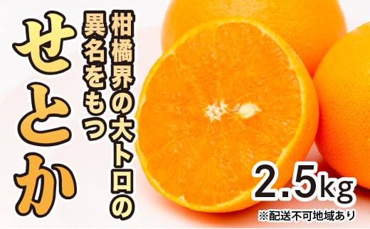 
            みかん 柑橘【先行受付】【2026年2月下旬以降発送】果汁たっぷり甘さに満足 柑橘の大トロせとか ＜2.5kg＞ 広島 三原 佐木島 鷺島みかんじま 017020
          