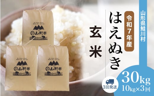 ＜令和7年産米＞ はえぬき 【玄米】 30kg定期便 （10kg×3回発送）＜配送時期選べます＞　山形県鮭川村