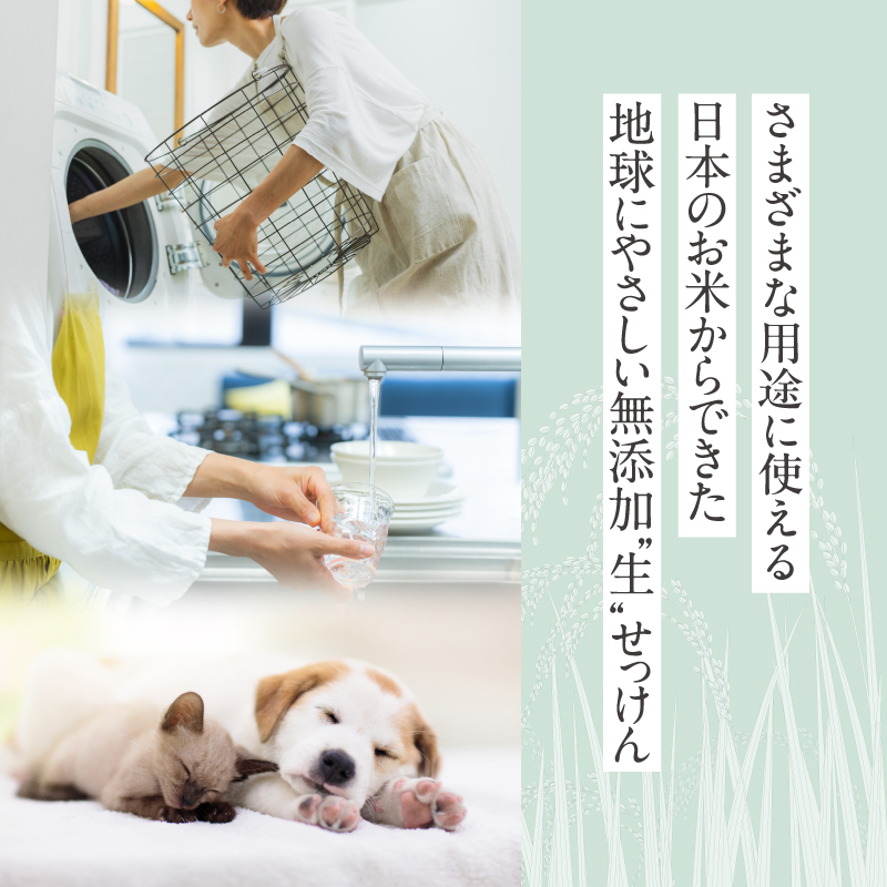 いいね せっけん（ポンプボトル/400g）