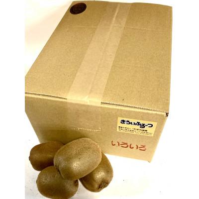 ふるさと納税 日高川町 紀州かつらぎ山のキウイフルーツ約3kg |  | 02