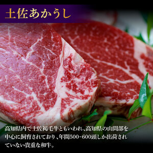 土佐和牛 特選ヒレ肉 400g 特製ソース2種類付【ステーキ用】 高知県土佐市 【株式会社松尾】 [BQBL002]
