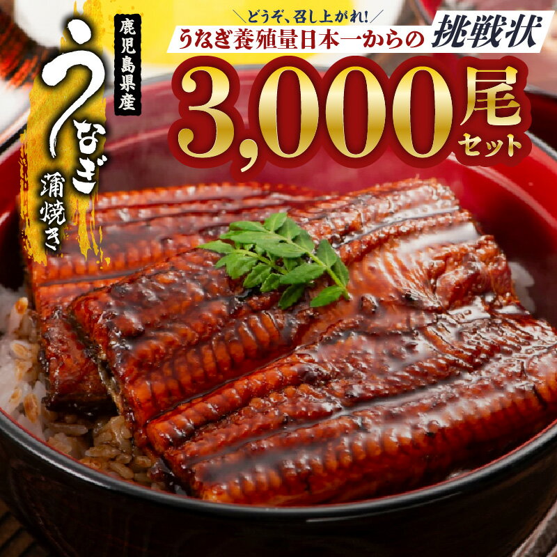 【ふるさと納税】【土用の丑の日特集】どうぞ、召し上がれ！うなぎ養殖量日本一からの挑戦状！【うなぎ蒲焼き3000尾】うな重 鰻重 鰻丼 ひつまぶし 真空パック 小分け 土用の丑の日【西日本養鰻】