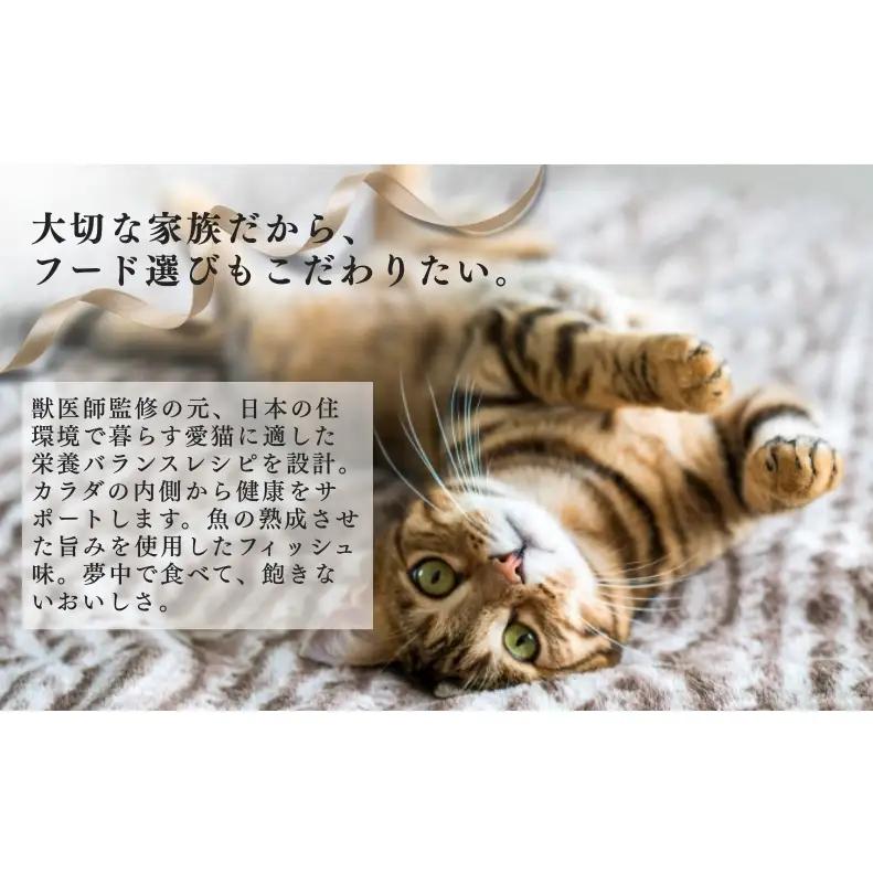 キャットフード ビューティープロ 下部尿路の健康維持 キャットフード