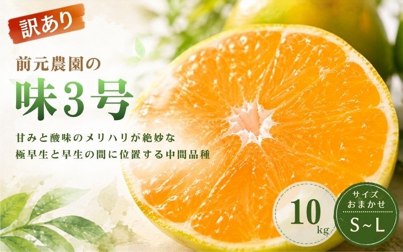 訳あり 前元農園の味3号 10kg S～Lサイズおまかせ【2026年10月下旬頃～順次発送予定】 /  フルーツ  みかん 蜜柑 三重県  高品質 みえ アルギット 訳あり【mmg042】