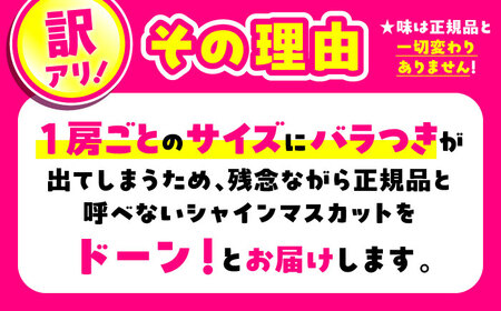 【先行予約】【訳あり】シャインマスカット　約1kg（2〜3房）　【中島農園】[AYCX003]
