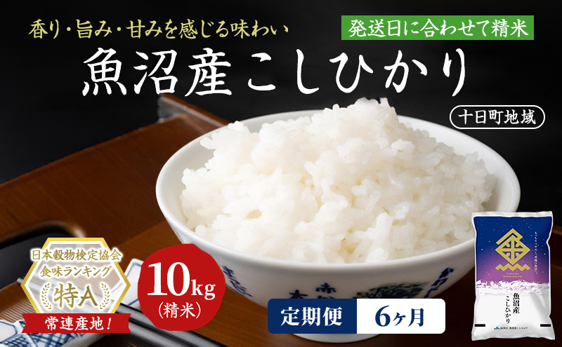 【令和8年産 先行予約】【6ヶ月定期便】魚沼産こしひかり(十日町地域) 精米 10kg(5kg×2) 米 お米 コシヒカリ 定期 十日町市