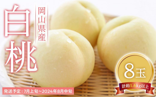 
桃 2025年 先行予約 白桃 8玉（1玉200g以上） もも モモ 岡山県産 国産 フルーツ 果物 ギフト
