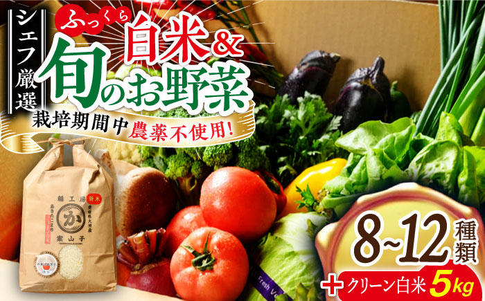 【シェフの目線】栽培期間中農薬不使用！旬のお野菜セット+クリーン白米【ふるさと納税限定】愛媛県大洲市/有限会社ヒロファミリーフーズ [AGBX009]サラダ カレー トマト 料理 ブロッコリー きゅう