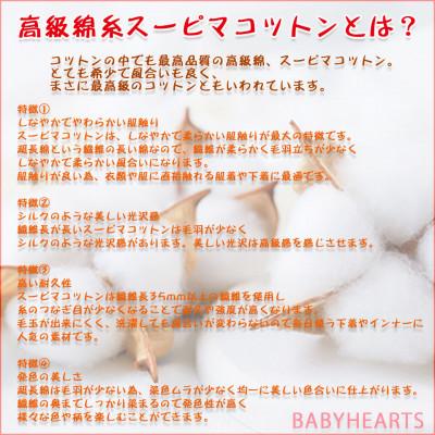 ふるさと納税 箕面市 スーピマ綿100%使い捨て布　ナプキン120枚 |  | 01