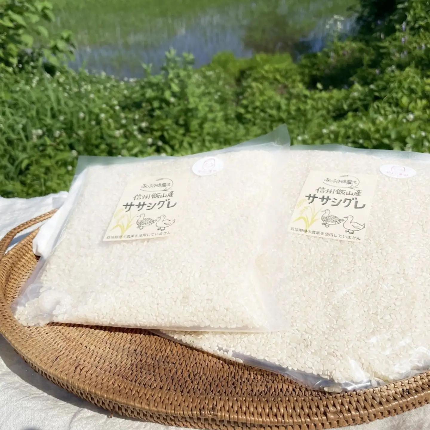 精米7分つき 【4.6kg】 令和7年産 ササシグレ 長野県産 【やよい農園】7-89