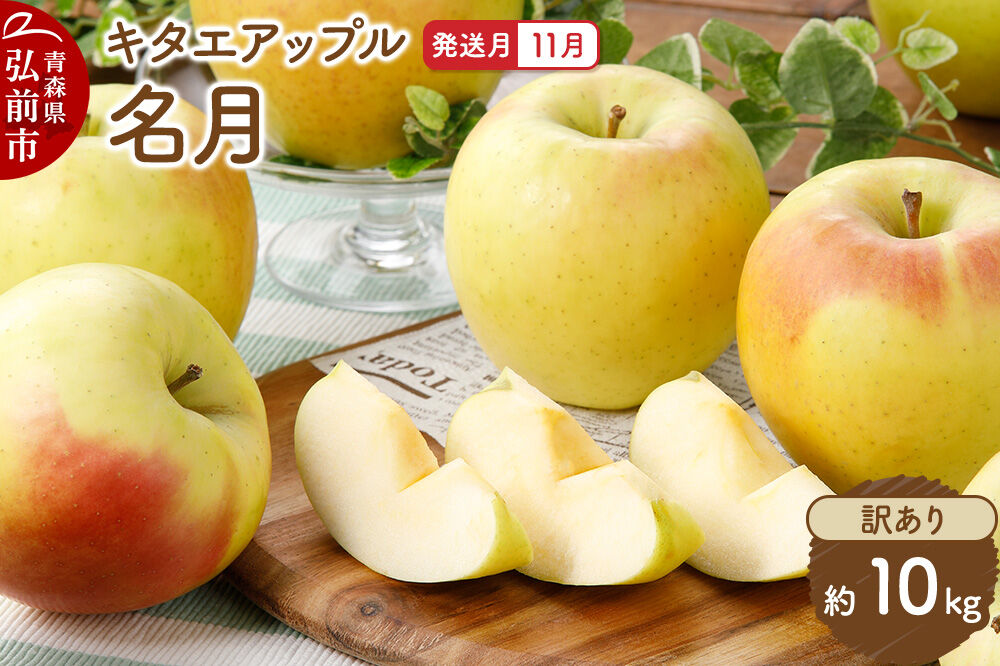 【26年11月発送】りんご 名月【訳あり】約10kg キタエアップル 青森県 弘前市 [先行予約 名月 りんご 訳あり 家庭用 アップル おいしい 果実 果物 黄色 美味 林檎]