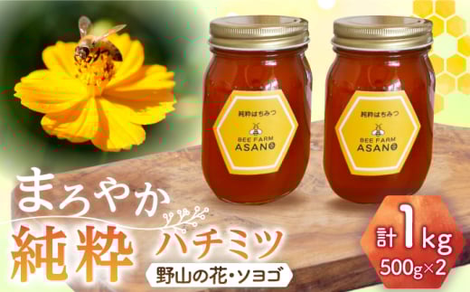 純粋ハチミツ 2種セット (野山の花500g×1 ソヨゴ500g×1) 瑞浪市 / honey shop Bee farm asano 蜂蜜 はちみつ [AZBT014]