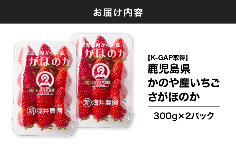 2887 K-GAP取得 鹿児島県かのや産いちご さがほのか（300g×2パック）　KN114-001-02