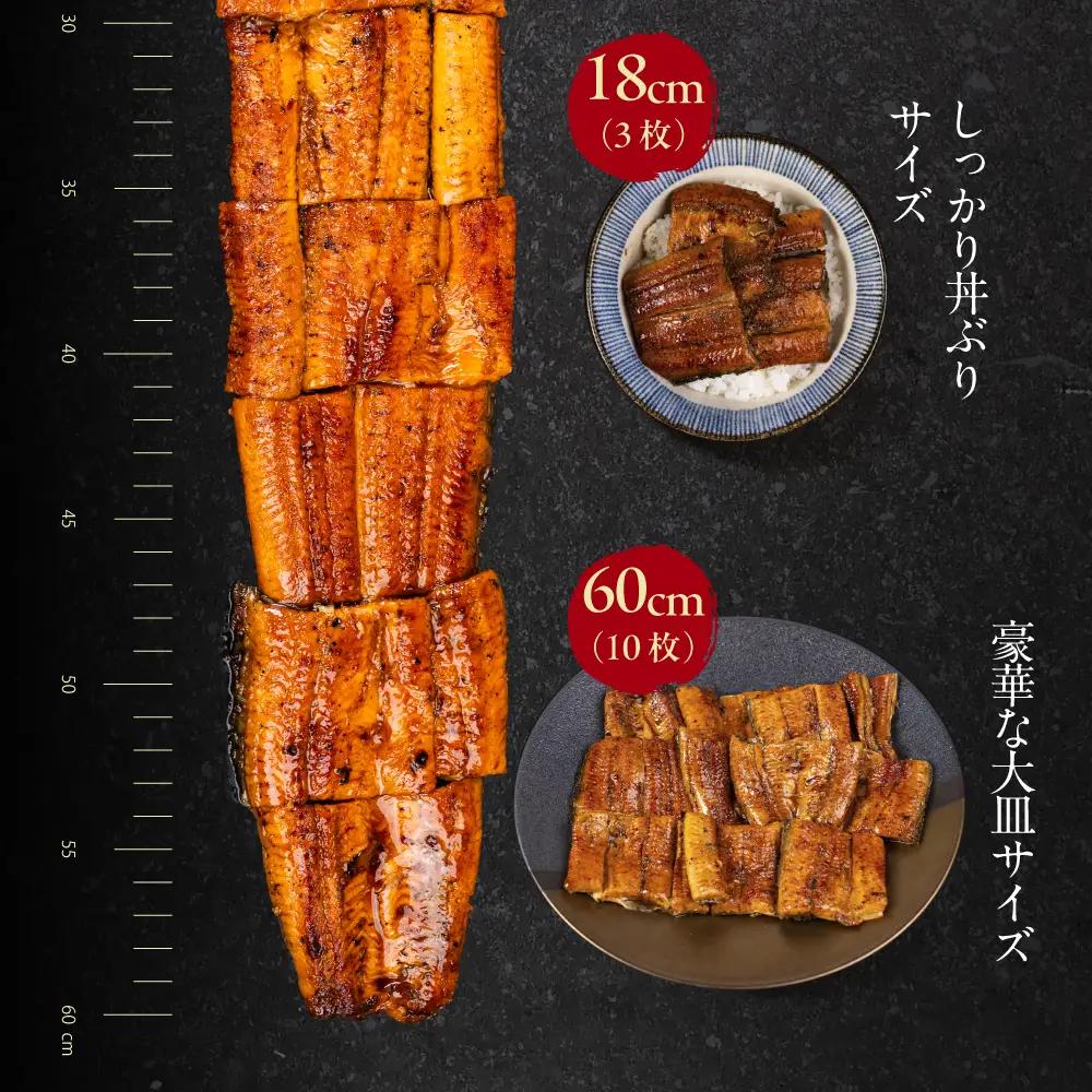 【うなぎ蒲焼　60cm（6cm×10枚）】今、うなぎはセンチで選ぶ！ 長さ選べる 国産 うなぎ蒲焼 カット鰻 うなぎ ウナギ unagi カット済 うな重 冷凍 うな丼 ストック 蒲焼 タレ付 選べる