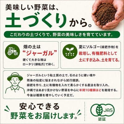 【2027年3月上旬より順次発送】有機JAS認証 かわごし有機菜園のとうもろこし 約2kg(8本)【配送不可地域：離島】