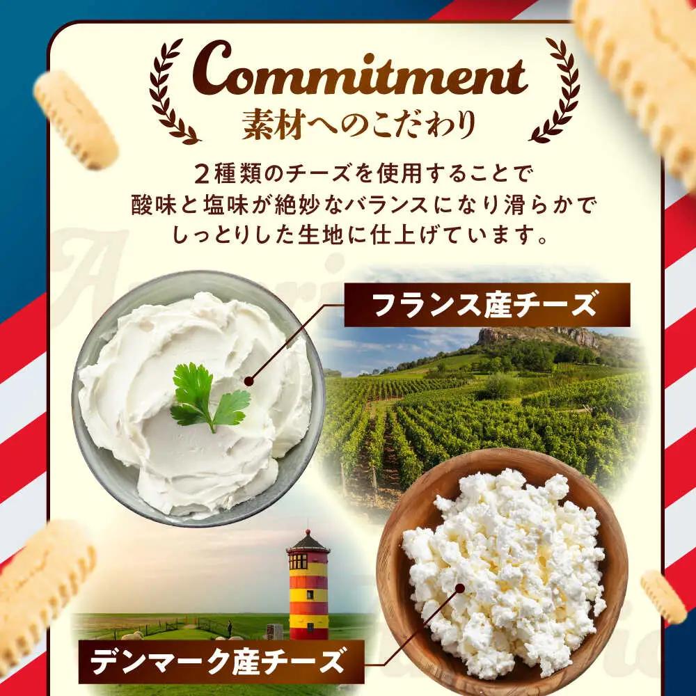 チーズケーキ 『チョコクランチ』Lホール (18cm / 700g) BCBR005 ケーキ