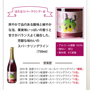 滝沢市 × 葛巻町 共通返礼品 滝沢りんごワイン ポムシードル ＋ ほたるスパークリング・赤 各 750ml セット 【岩手くずまきワイン】 ワイン スパーリングワイン シードル 飲み比べ お酒 酒 