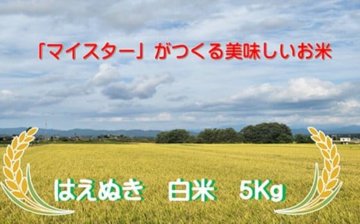 【ふるさと納税】マイスターがつくる　はえぬき　白米 5kg（飯豊町産）(R7年産）