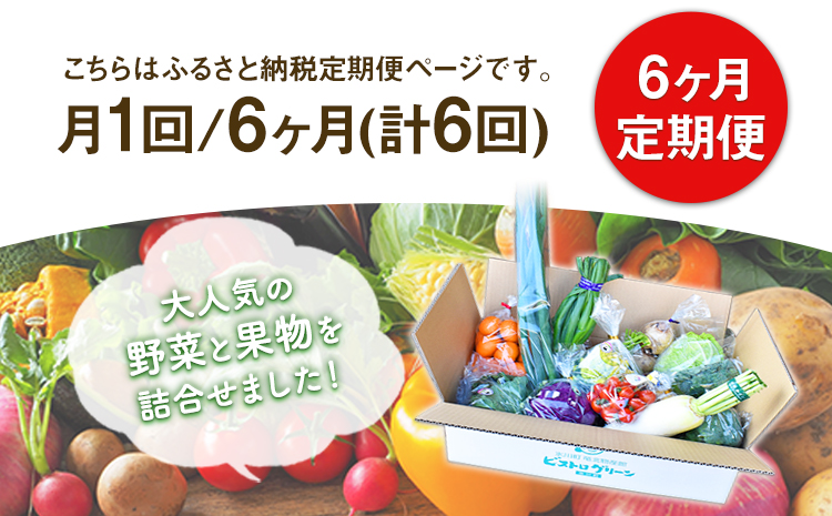 6ヶ月定期便 旬の新鮮野菜・果物詰合せセット(計6回お届け) たっぷり10-15品目 《お申込み月の翌月から出荷開始》 熊本県氷川町産 道の駅竜北