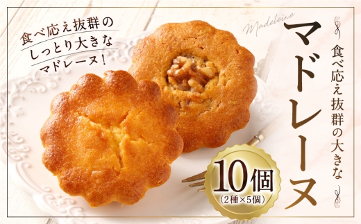 大きい！マドレーヌ（プレーン・くるみ） 10個 お菓子 菓子 デザート スイーツ マドレーヌ ビッグ BIG プレーン くるみ