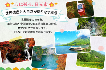 HISふるさと納税宿泊予約専用クーポン (栃木県日光市) 3万円分｜旅行 観光 温泉 鬼怒川 川治 湯西川 高級 宿泊 ホテル クーポン トラベルクーポン 電子クーポン チケット 記念日 お祝い 出張