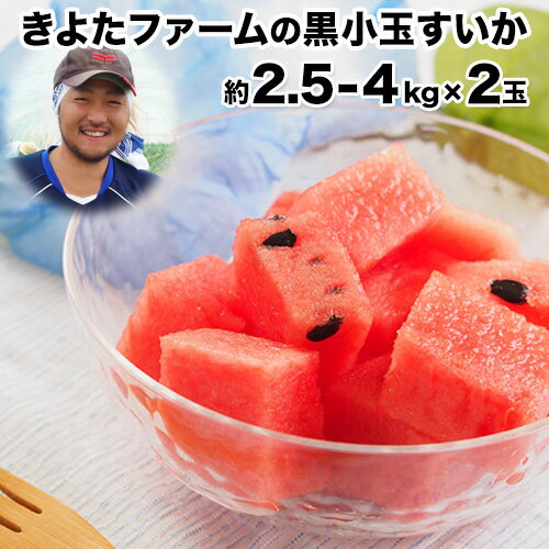 【ふるさと納税】【先行予約】『きよたファーム』の黒小玉すいか2玉セット 1玉約2.5-4kg前後 熊本県玉名郡玉東町『きよたファーム』すいか フルーツ 果物 熊本県産《2026年7月上旬-8月中旬頃出荷》