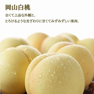 【先行受付】岡山県産　岡山白桃エースLサイズ200g×2玉・ニューピオーネ400g×1房　詰合せ【配送不可地域：離島・北海道・沖縄県】【1309151】