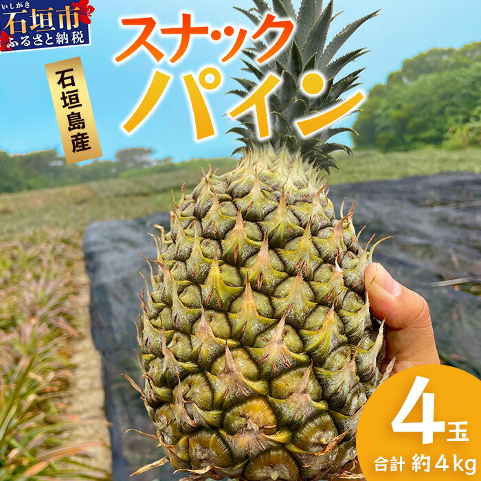 【ふるさと納税】【先行予約】《2026年5月上旬頃より順次発送》石垣島産 スナックパイン (4玉 約4kg) ｜産地直送 沖縄 石垣 パイナップル パイン スナック フルーツ トロピカル 南国 TP-8-1