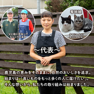 isa388 《数量限定》手作りはちみつ入り日向夏マーマレード(計3個・各140g) 日向夏 加工食品 果物 フルーツ 詰め合わせ 果肉 柑橘 低糖 ハンドメイド ジャム ギフト【薩摩美食倶楽部】