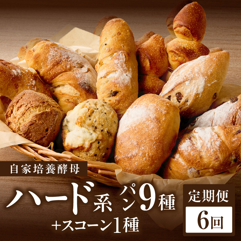 【全6回定期便】選べる回数！自家培養酵母で焼くハード系パン9種＋スコーン1種セット！