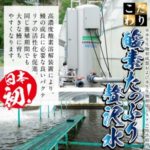 日ノ本一の鰻の蒲焼き＜大＞5尾セット(計950g以上) d2-004