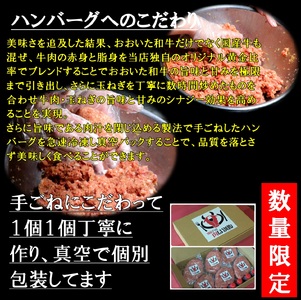 おおいた和牛入り「肉は別腹」ハンバーグ 【おおいた和牛 肉は別腹 ハンバーグ はんばーぐ 肉 牛肉 ソース付き 惣菜 チルド 内閣総理大臣賞 厳選 贅沢 ご褒美 オリジナル 黄金比率 手ごね 急速冷凍