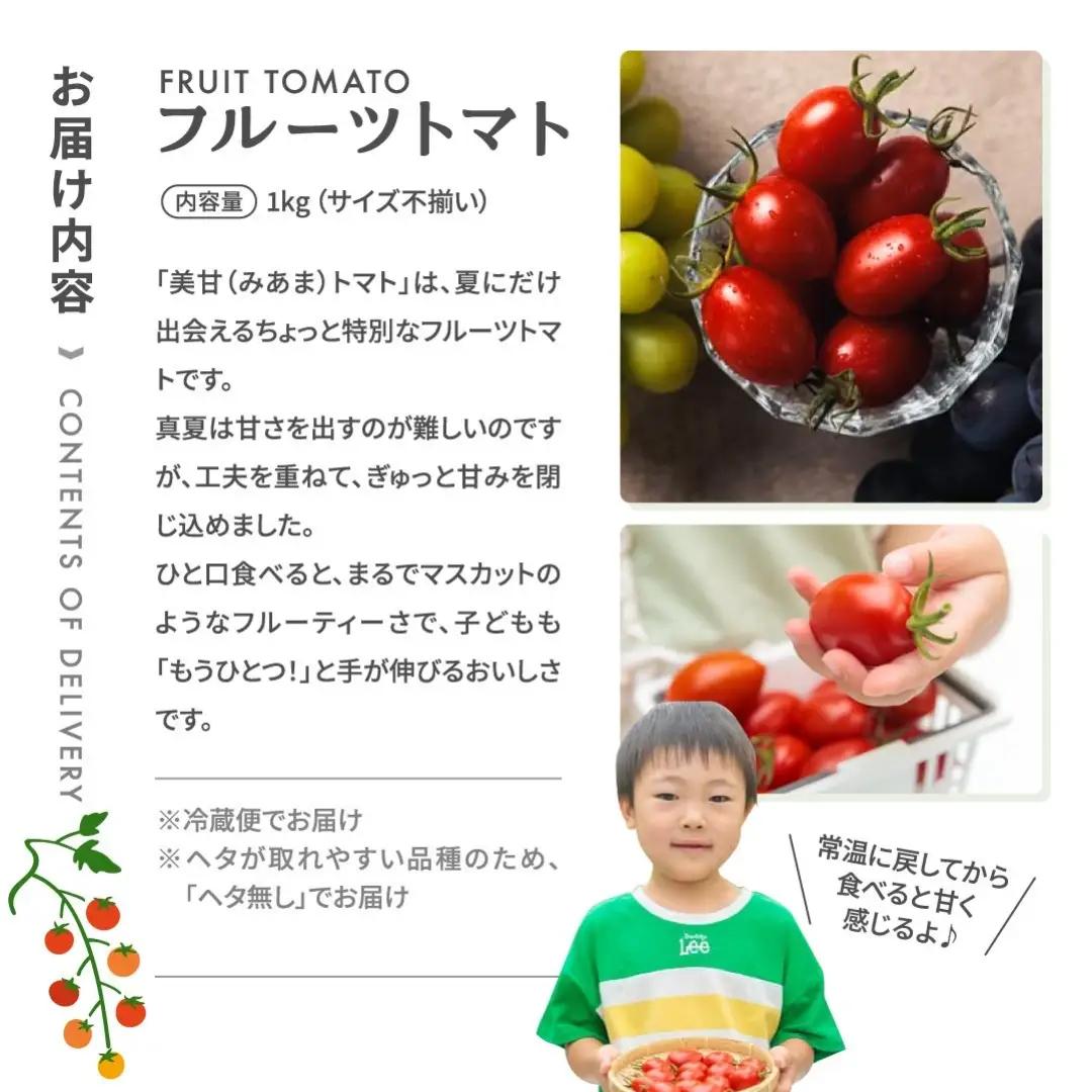 美甘トマト フルーツトマト 1kg 2026年7月発送 トマト とまと 新鮮 採れたて フレッシュ 野菜 農家直送 福島県 田村市 GREEN for TABLE