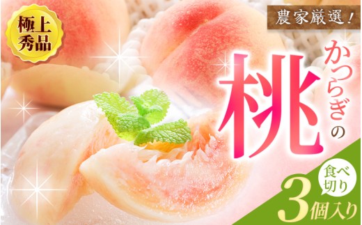桃 極上秀品 食べきりやすい３個入 【先行予約】【2026年6月末から7月末順次発送】こだわり農家厳選！｜桃 極上 秀品  フルーツ 果物 【BK001-kgr002】