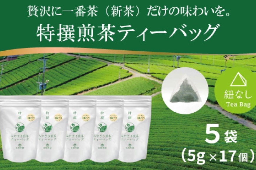 
            お茶 ティーバッグ 特撰 みやざき煎茶 5袋 セット [谷岩茶舗 宮崎県 日向市 452061643]  ティーパック 茶 茶葉 緑茶 新茶 お茶の葉
          