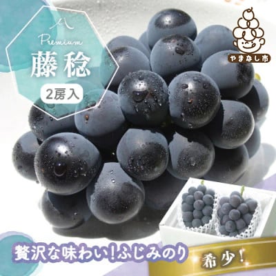 
            ＜2026年発送分先行受付＞藤稔 ふじみのり (種なし) 2房 約1kg 話題の大粒ぶどう【1289158】
          